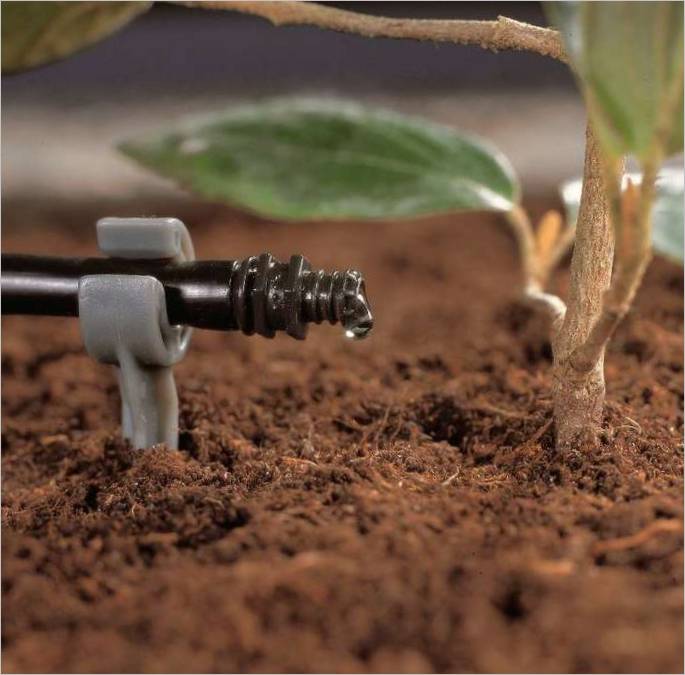 Sodininkystės technologija